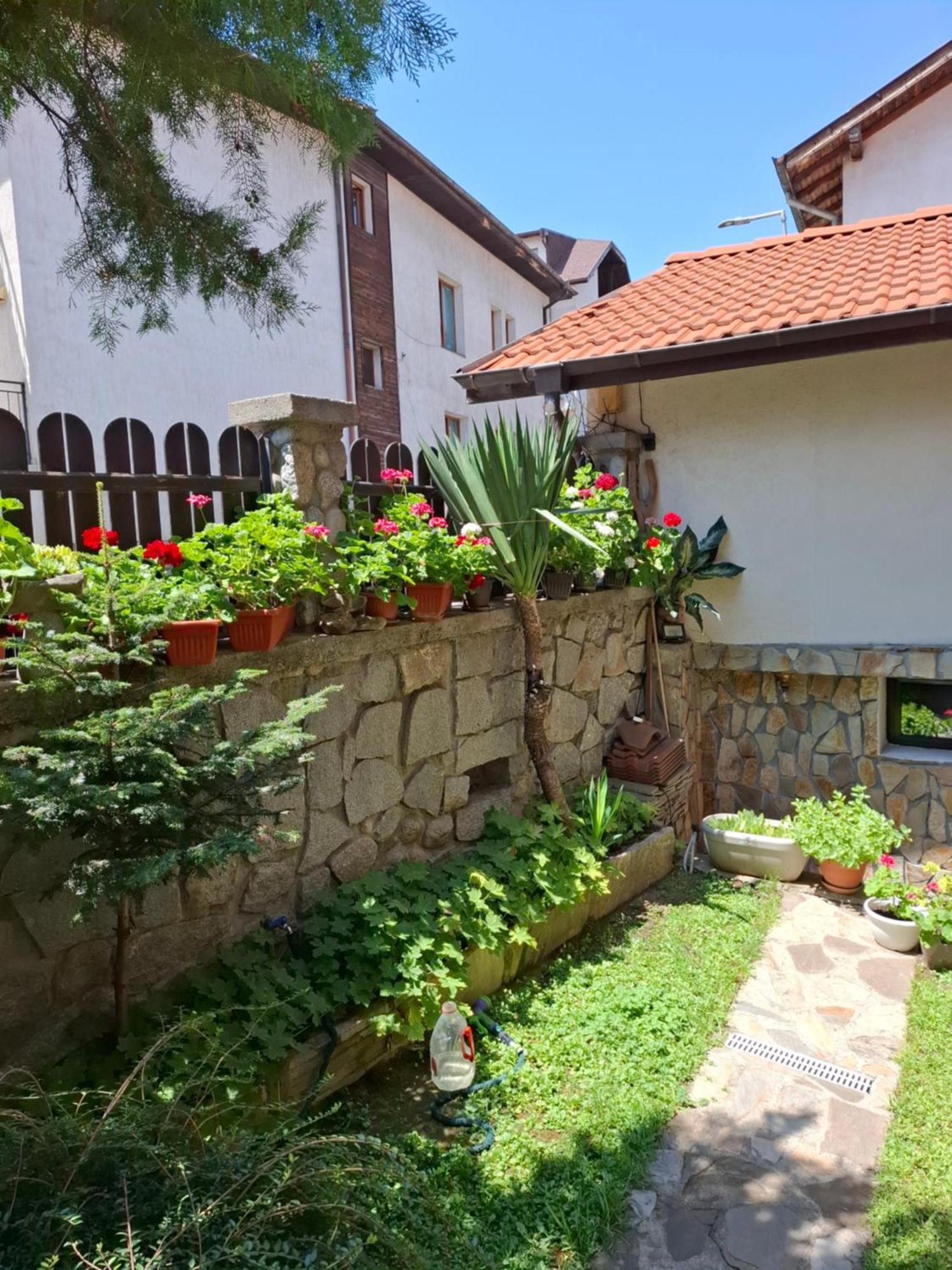 Guest House Skabrin Bansko Buitenkant foto