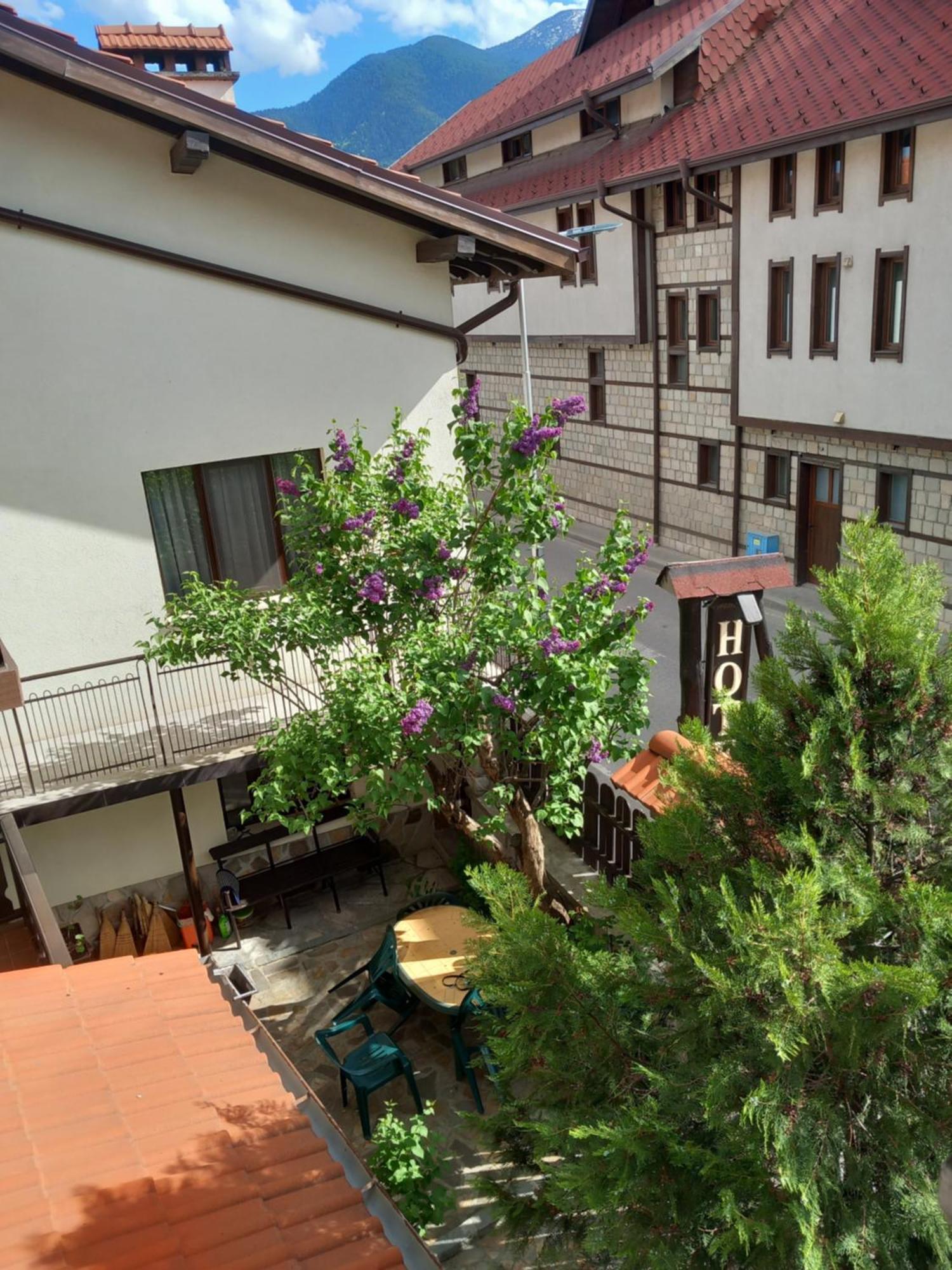 Guest House Skabrin Bansko Buitenkant foto